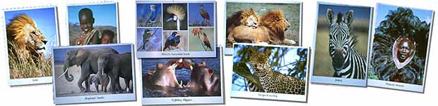 Beautiful postcards